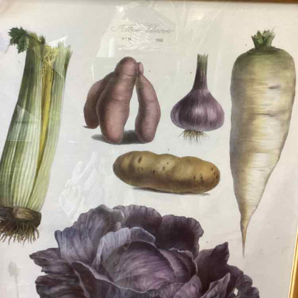 Vegetable Print In Oak Frame