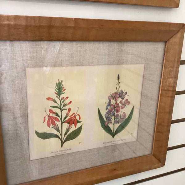 Four Vintage Floral Prints
