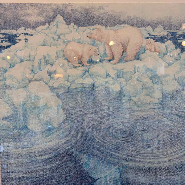 Framed Polar Bear Print