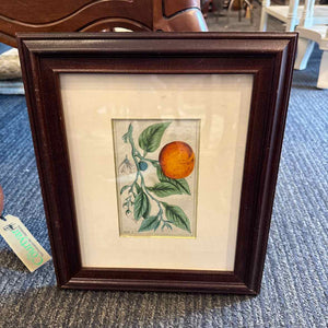 Framed Botanical