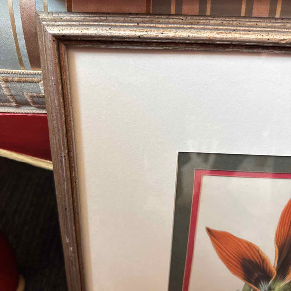 Framed Botanical