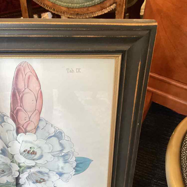 Rhododendron Framed Print