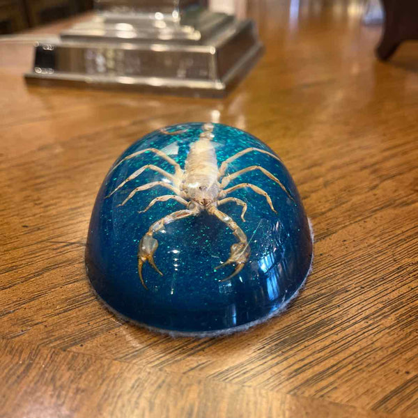 Scorpion Oval Paperweight