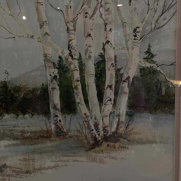 "Birch Trees" Watercolor By Phyllis Drach