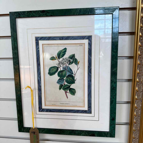 Botanical Red Thorn Print