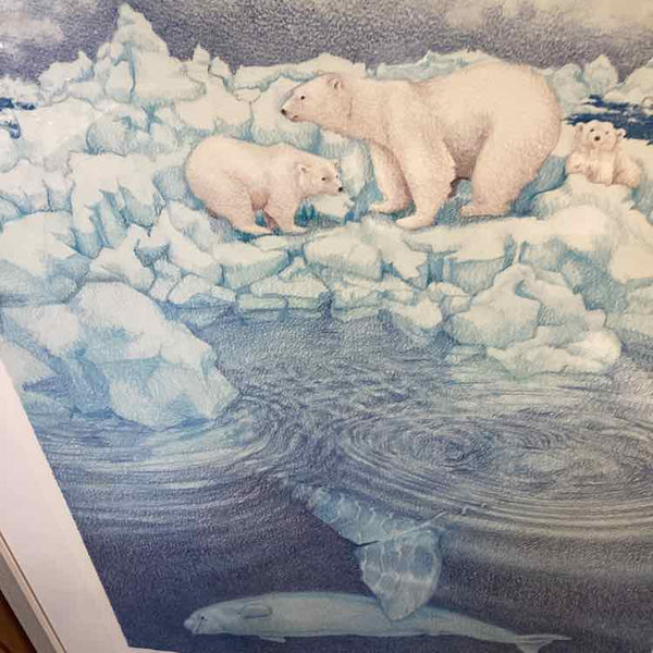 Framed Polar Bear Print