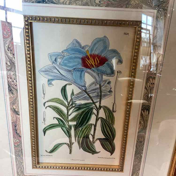 "As Is" Pair Of Floral Prints