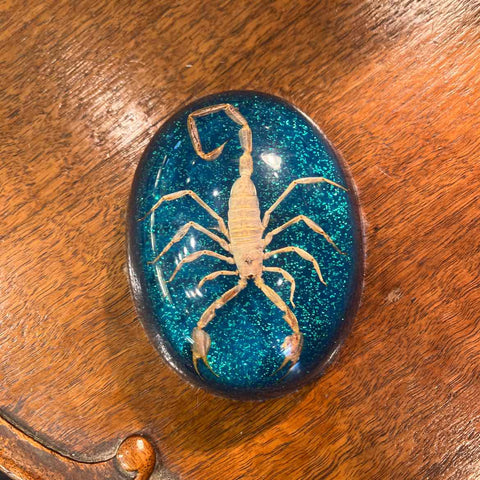Scorpion Oval Paperweight