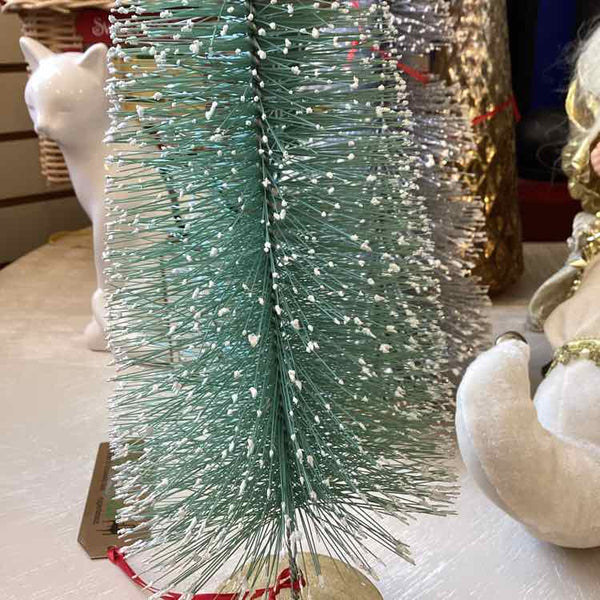Green Bottle Brush Tree