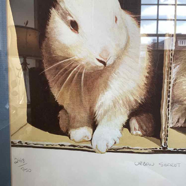 "Urban Secret" Bunny Print