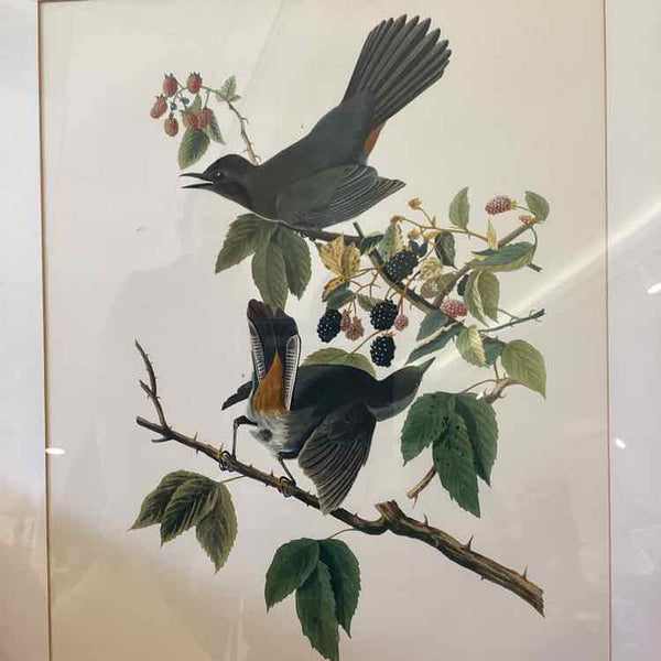 Cat Bird Print - Gold Frame