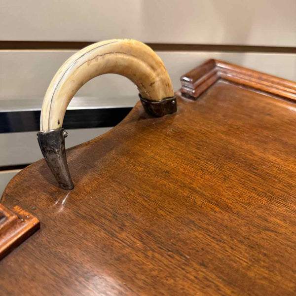 Mahogony Tray w/Bone Handles