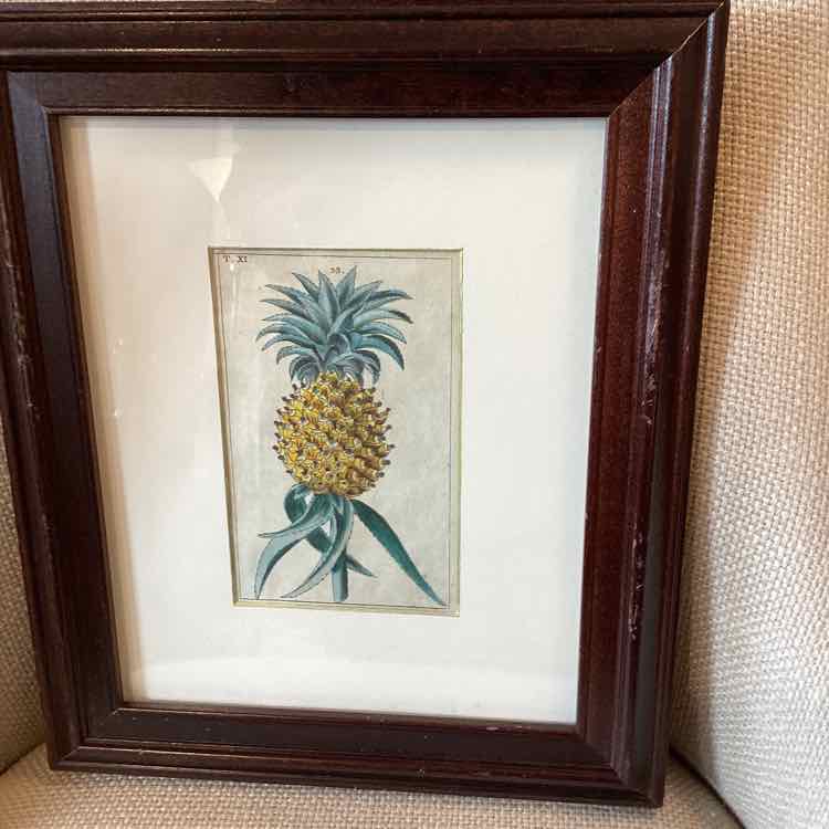 Framed Botanical