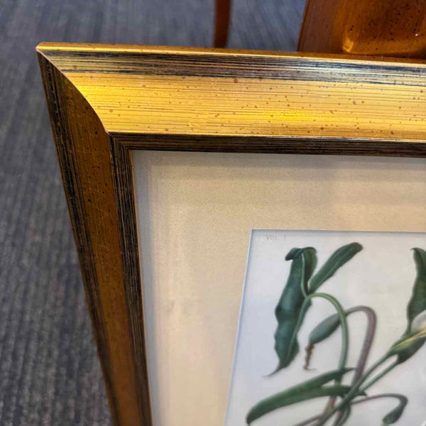 Botanical Xanthosoma Print