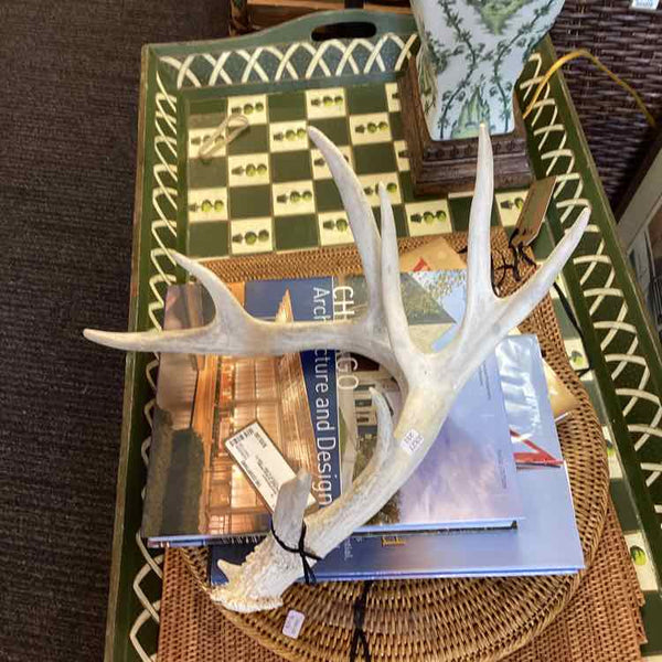 Antler - 8 Point