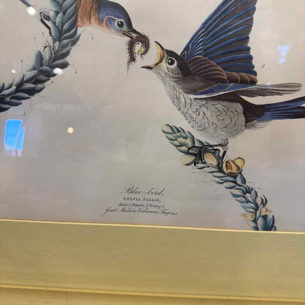 Vintage Blue Bird Print