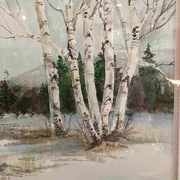 "Birch Trees" Watercolor By Phyllis Drach