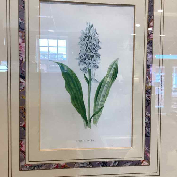Spotted Orchis Print in Gold Frame