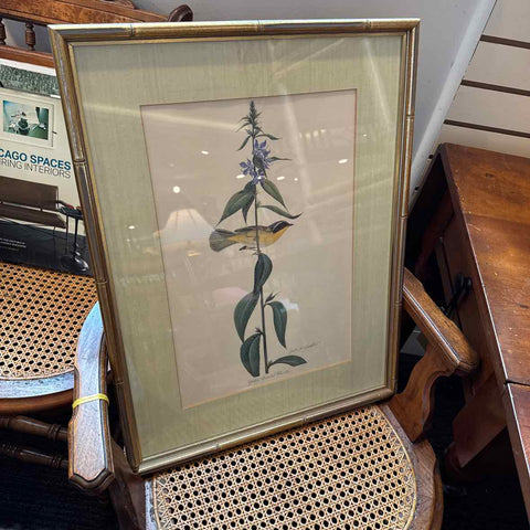 Framed Warbler Bird Print