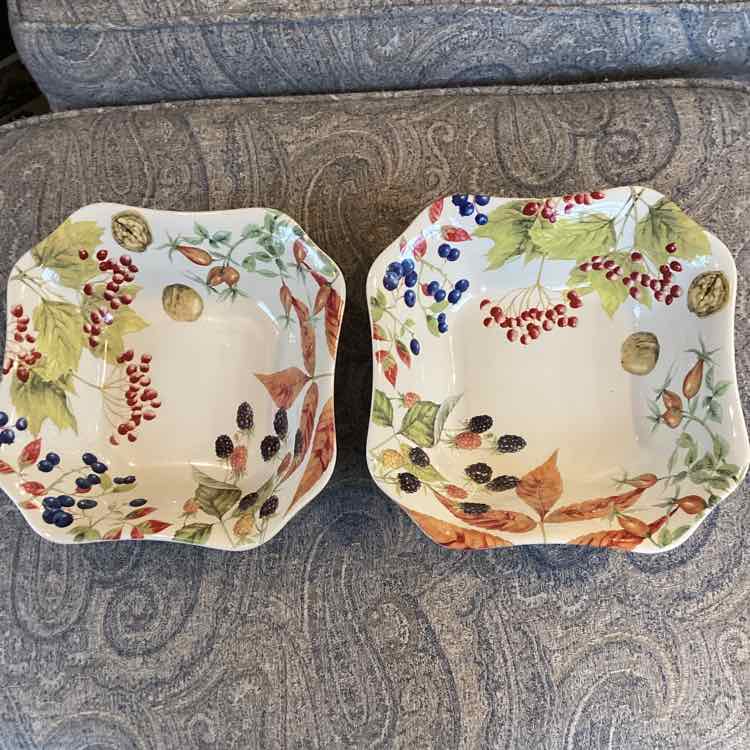 Pair of Spode Williams Sonoma Bowls