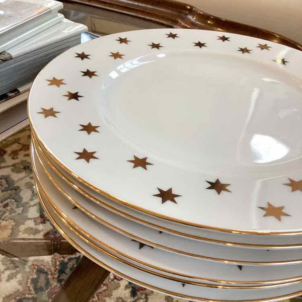 6 Star Dinner Plates