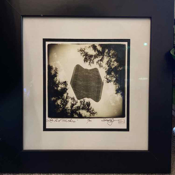 Lake Point Towers Framed Lithograph