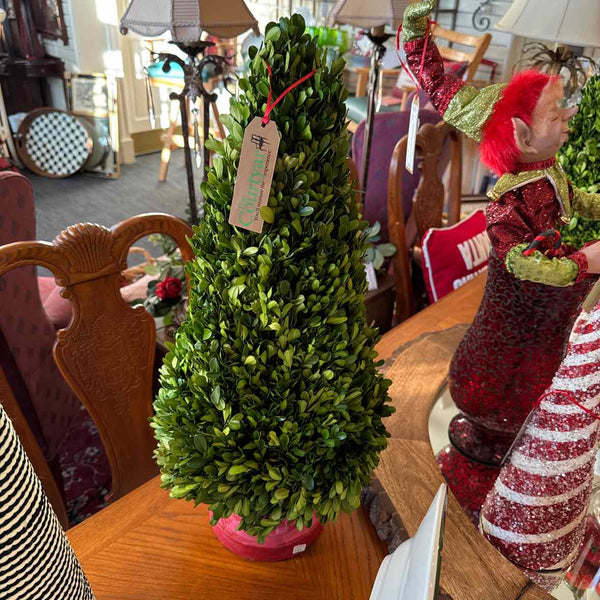 Boxwood Christmas Tree