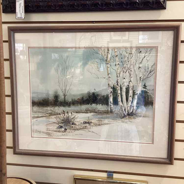 "Birch Trees" Watercolor By Phyllis Drach