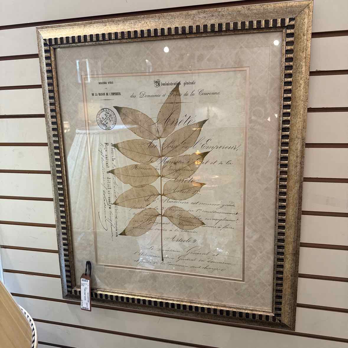 Framed Leaf Print