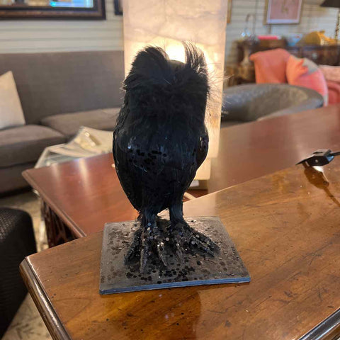 Black Feathered Owl