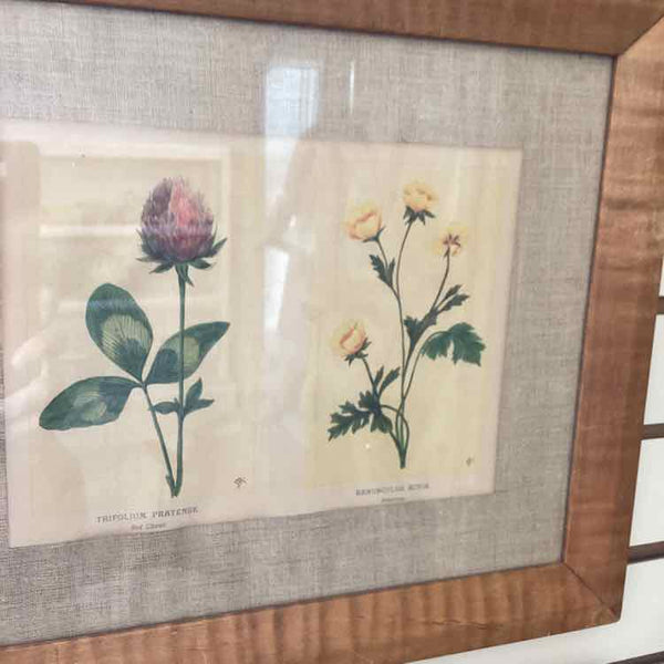Four Vintage Floral Prints