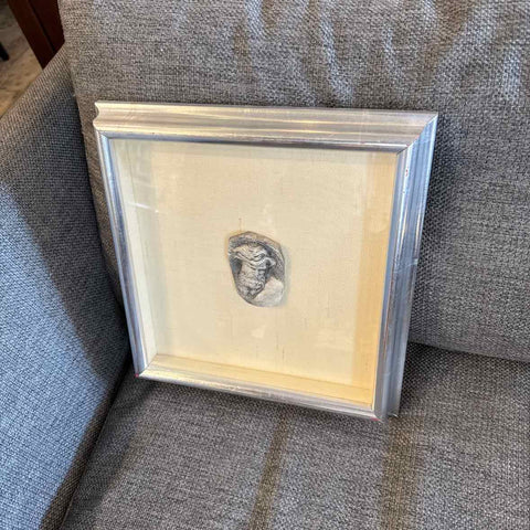 Framed Zeus Artifact
