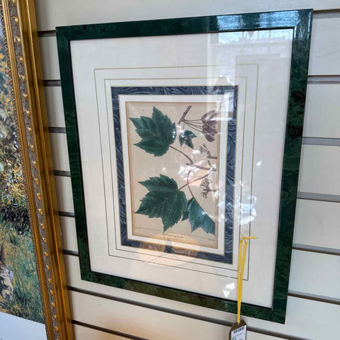 Botanical Maple Leaves Print