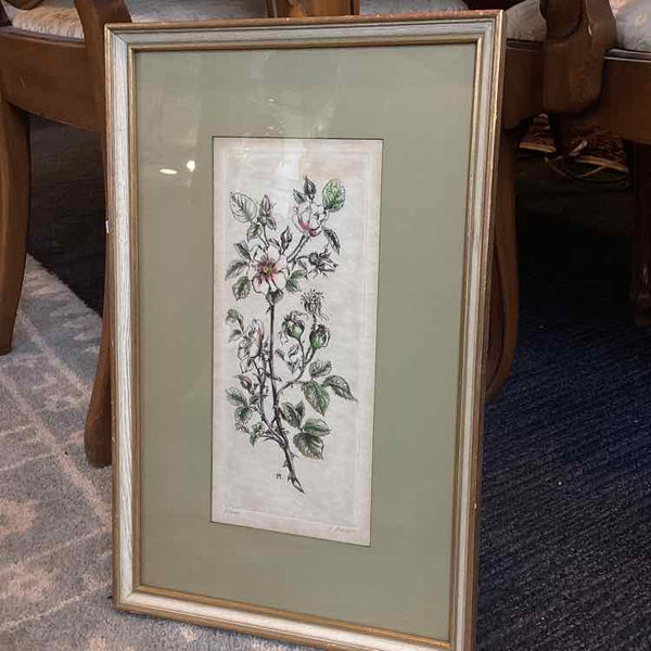 Rose Lithograph