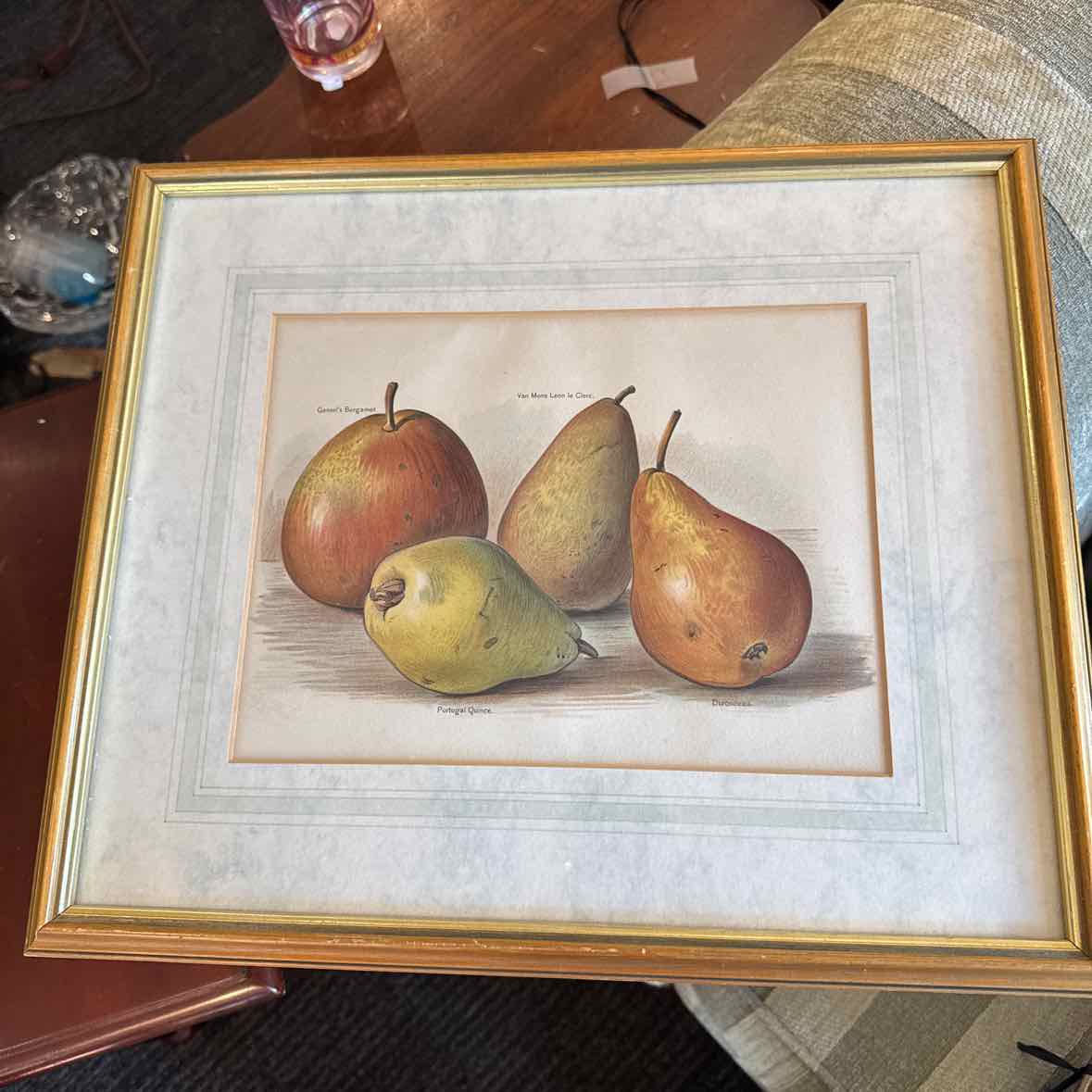 Pear Framed Print