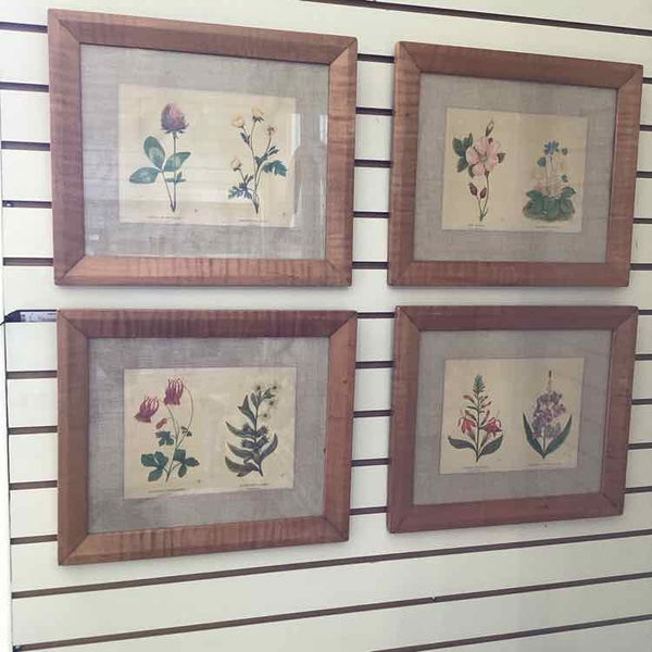 Four Vintage Floral Prints