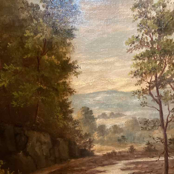 Framed Forest Scene