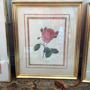 Botanical Print