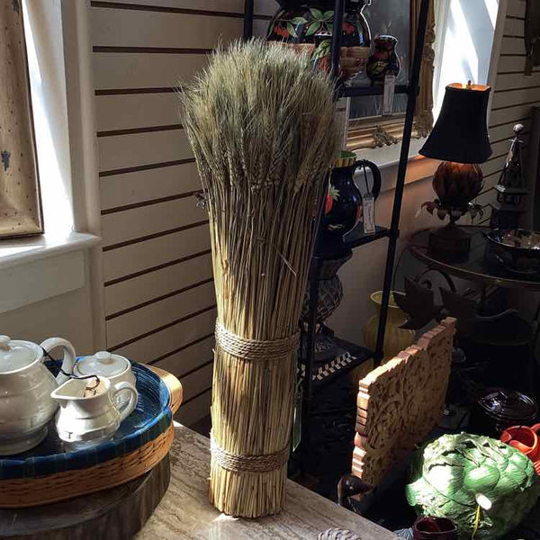 Dried Wheat Stalks