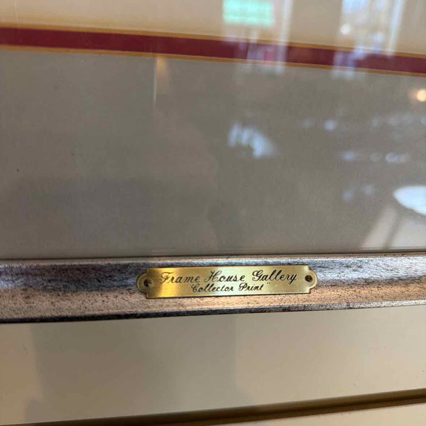 Framed Desert Cardinal Print