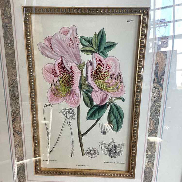 "As Is" Pair Of Floral Prints