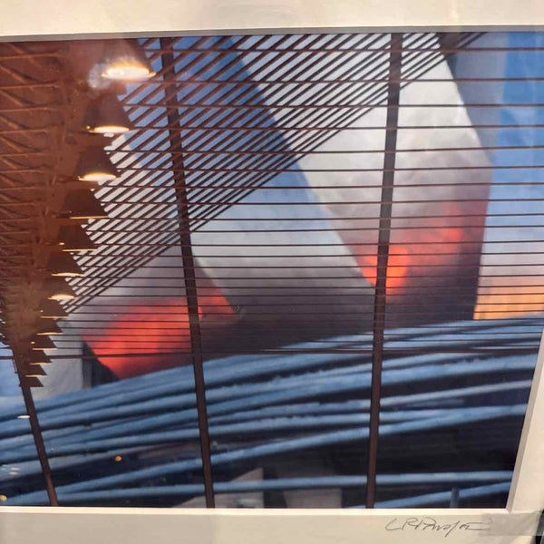 Framed Photograph Of Pritzker Pavillion