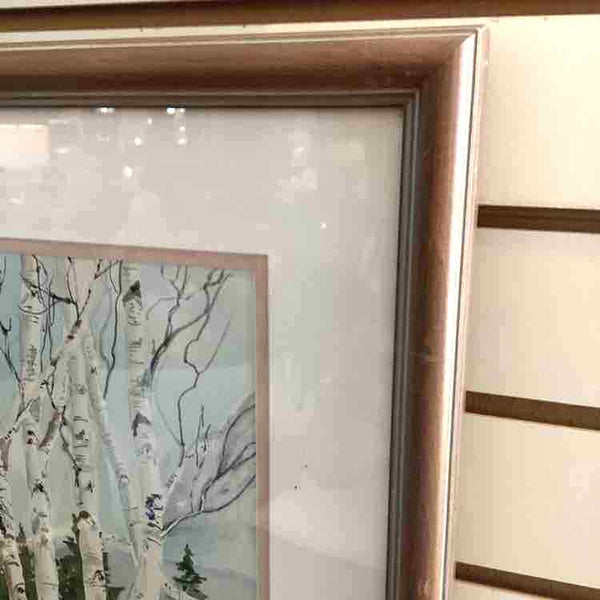 "Birch Trees" Watercolor By Phyllis Drach