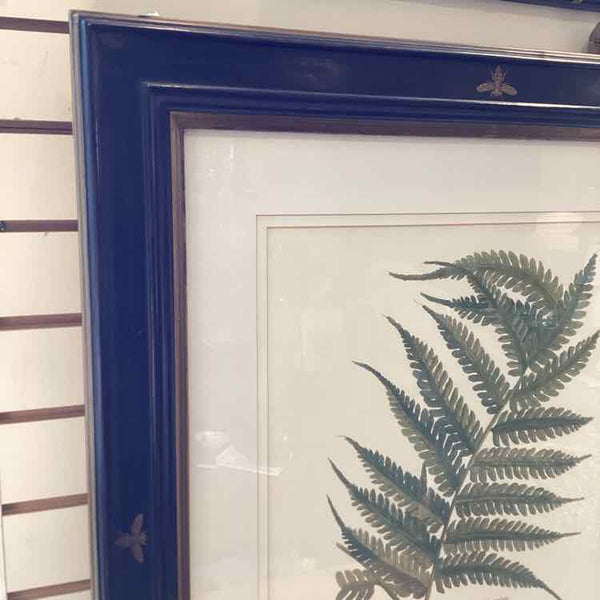 Fern Botanical Print In Black Frame