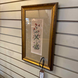 Gold Framed Signed Botanical