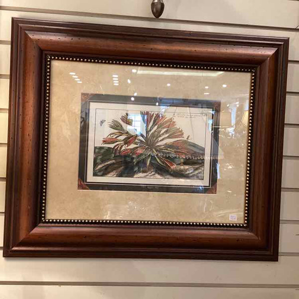 Framed Botanical - Parrot Lily