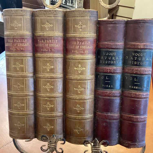Five Faux Books with Stand