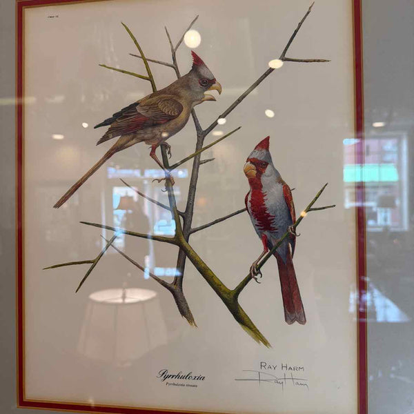 Framed Desert Cardinal Print