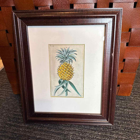 Framed Botanical