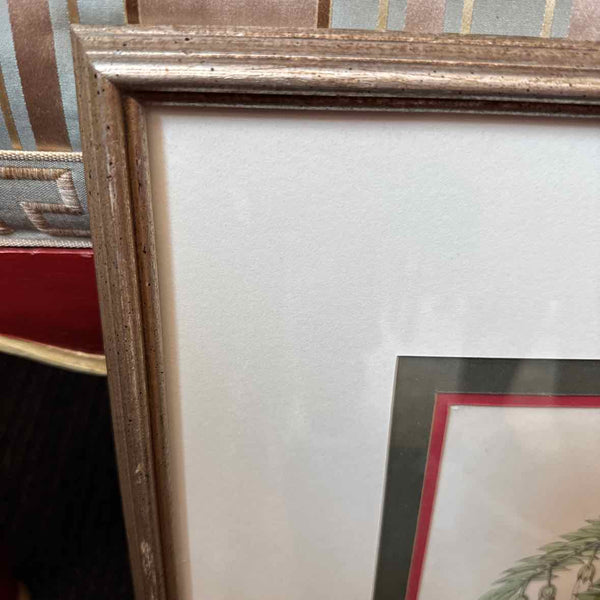Framed Botanical